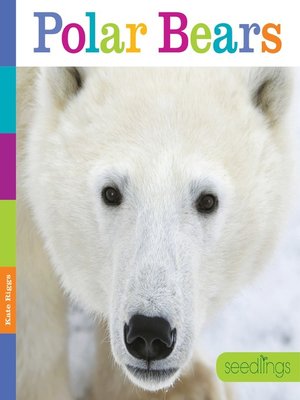 cover image of Polar Bears
